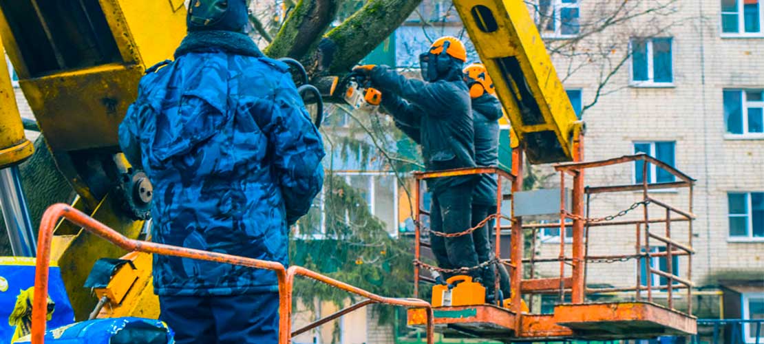 Удаление дерева с автовышки