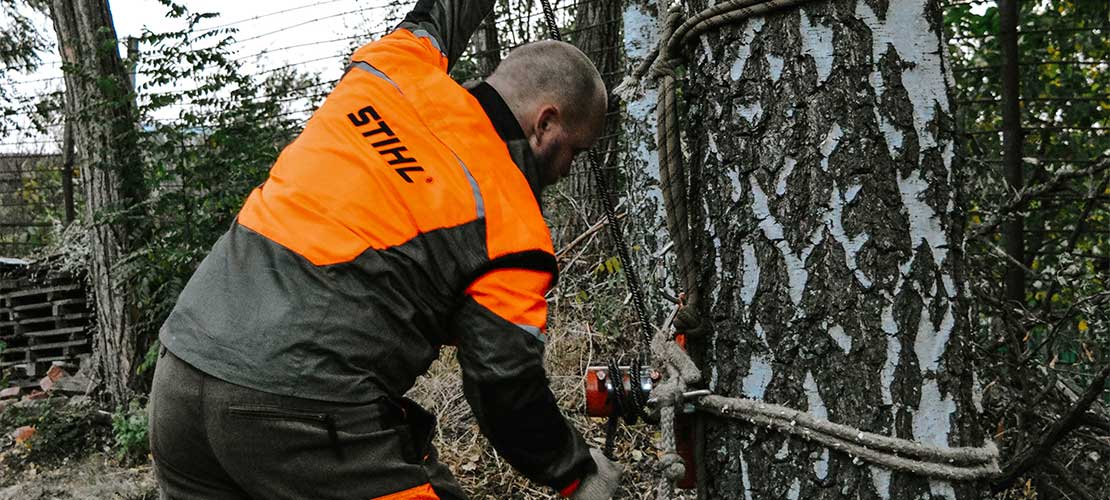 Удаление дерева с полным завешиванием