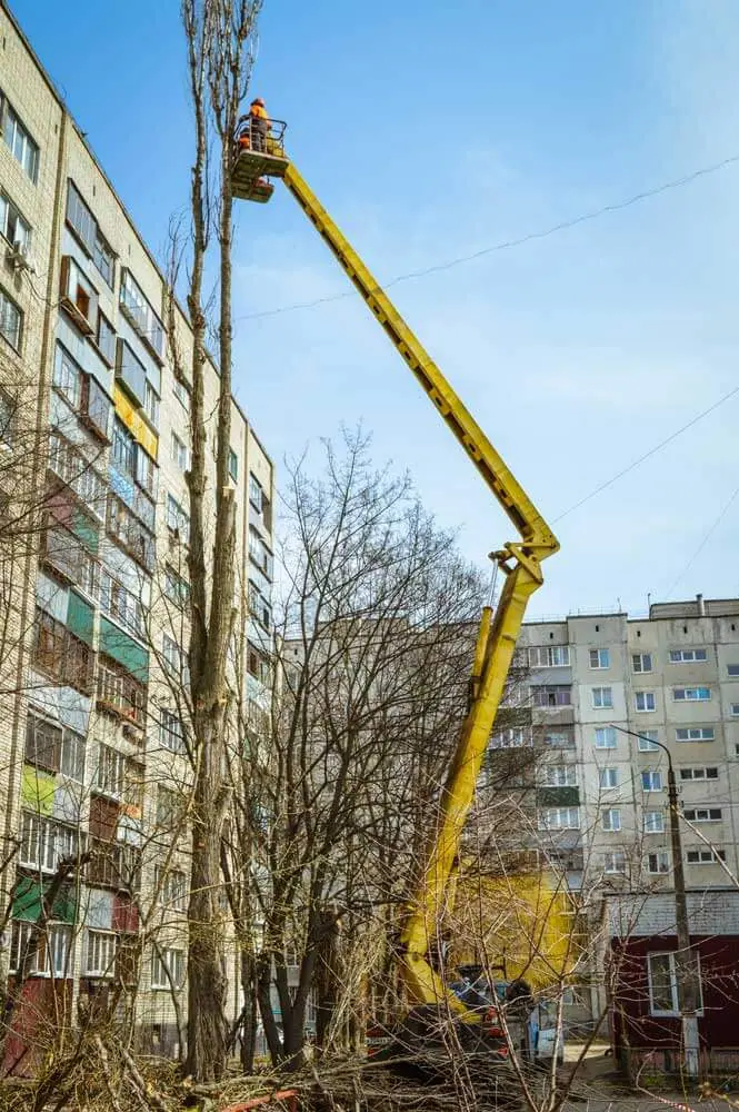 Арбориств в люльке пилят тополя на уровне восьмого этажа