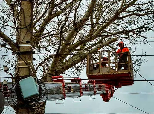 Удаление тополя с автовышки