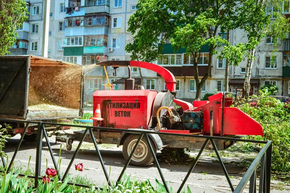 Утилизация веток спиленных деревьев