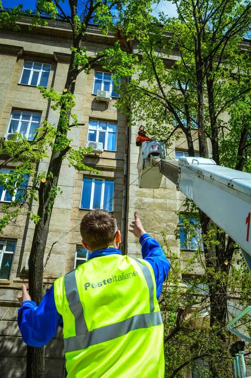 Оператор автовышки даёт указания арбористу в люльке