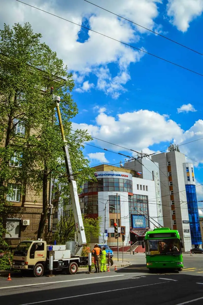 Опиловка лип на фоне Акционерного банка России