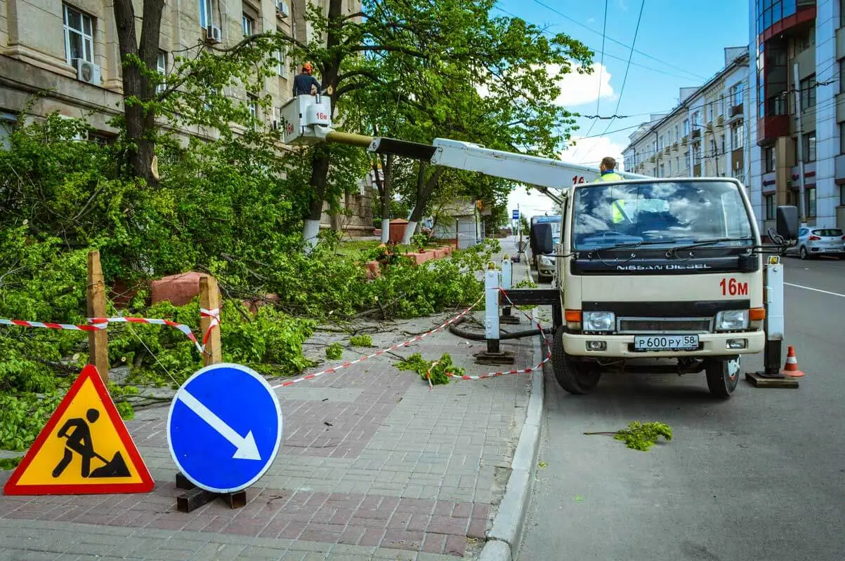 Огороженное место работы арбористов