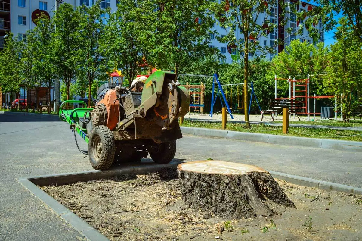 Дробилка пней стоит рядом с пнём