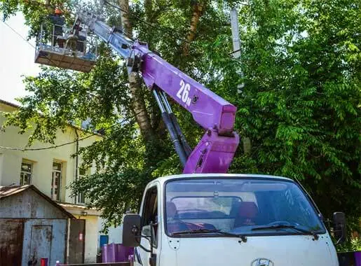 Спил тополя с автовышки