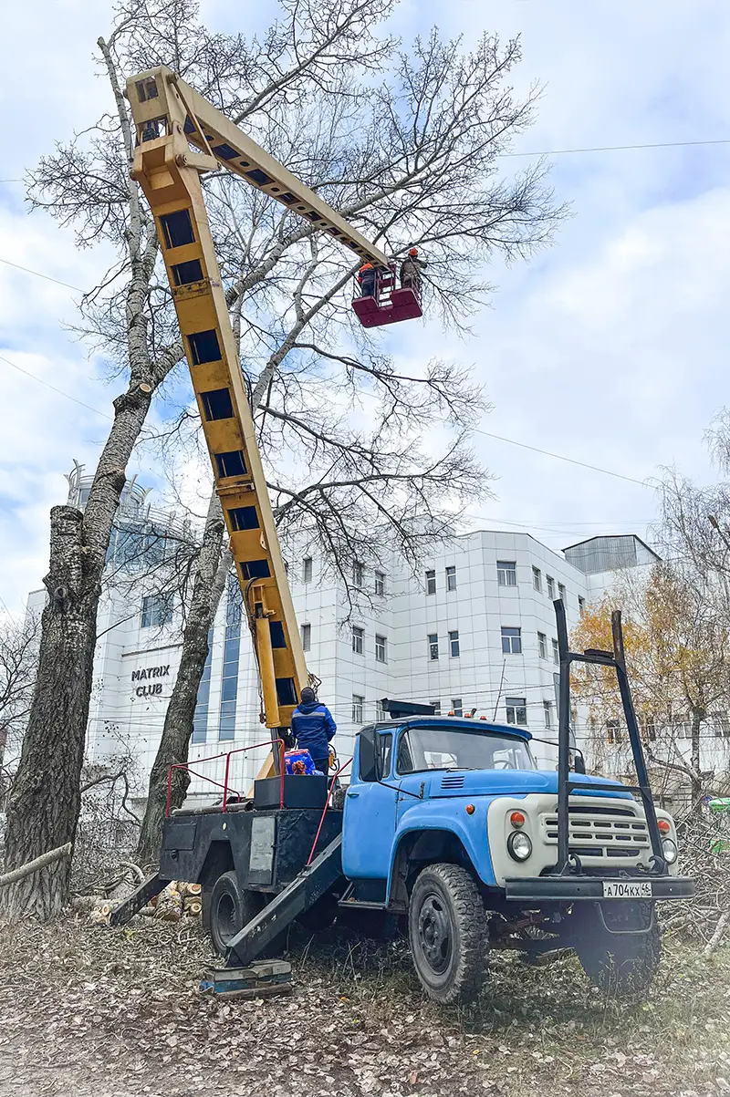 Высоко поднятная стрела автовышки с арбористами в люльке