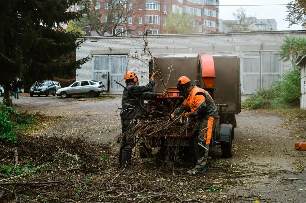 Ветки дробят в измельчителе веток
