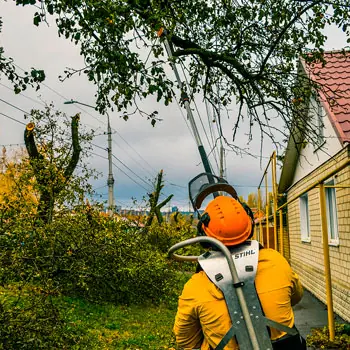 Арборист опиливает ветки дерева высоторезом