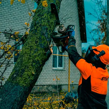 Спиливание ствола дерева по частям