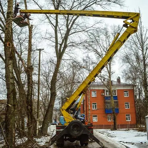 Спил дерева с автовышки