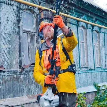 Арборист работает высоторезом, летят опилки