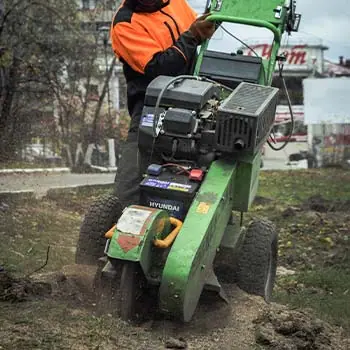 Пнедробилка Laski удаляет пень