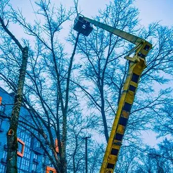 Спил тополя с автовышки