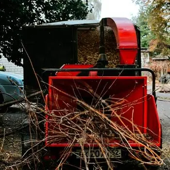 Ветки в измельчителе древесины
