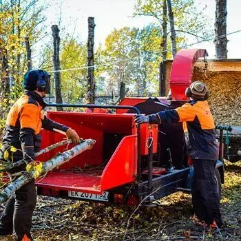 Измельчение веток в щепу