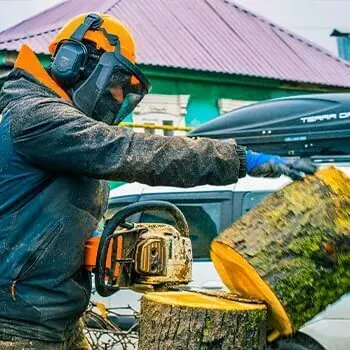 Спил дерева по частям