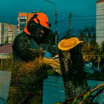 Спил по частям
