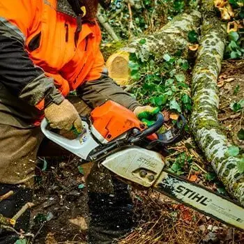 Бензопила Stihl