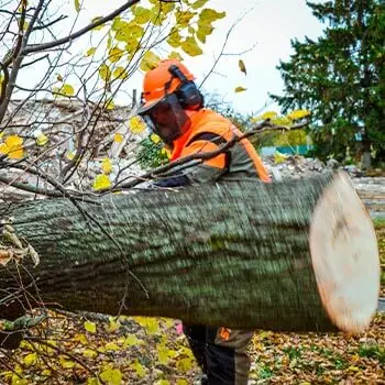 РАспиловка на части