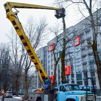 Спил с автовышки